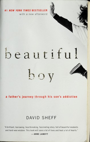 Beautiful Boy: A Father's Journey Through His Son's Addiction